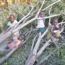 Girls of Mfuba, playing on a recently chopped-down tree. (I was told it was shading out a small orange tree, so it just had to go.)