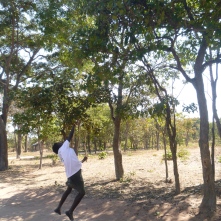Chola throwing rocks at an imifutu tree to knock down the delicious black fruits.
