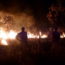 Ba Allan and Ba Bernardi watch the fire they started to make a firebreak around the Mfuba Co-op's field.