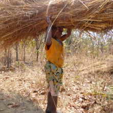 Seven-year-old Doro carrying a huge bundle of roofing grass.