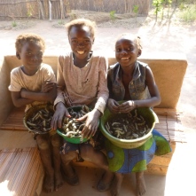 Lavenda, Norida, and Annette with their morning's caterpillar harvest.