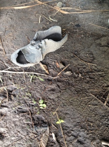This shoe may have been purposely abandoned.