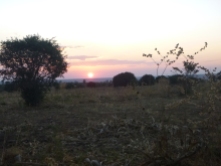 Sunset behind Scott's heavily deforested site.